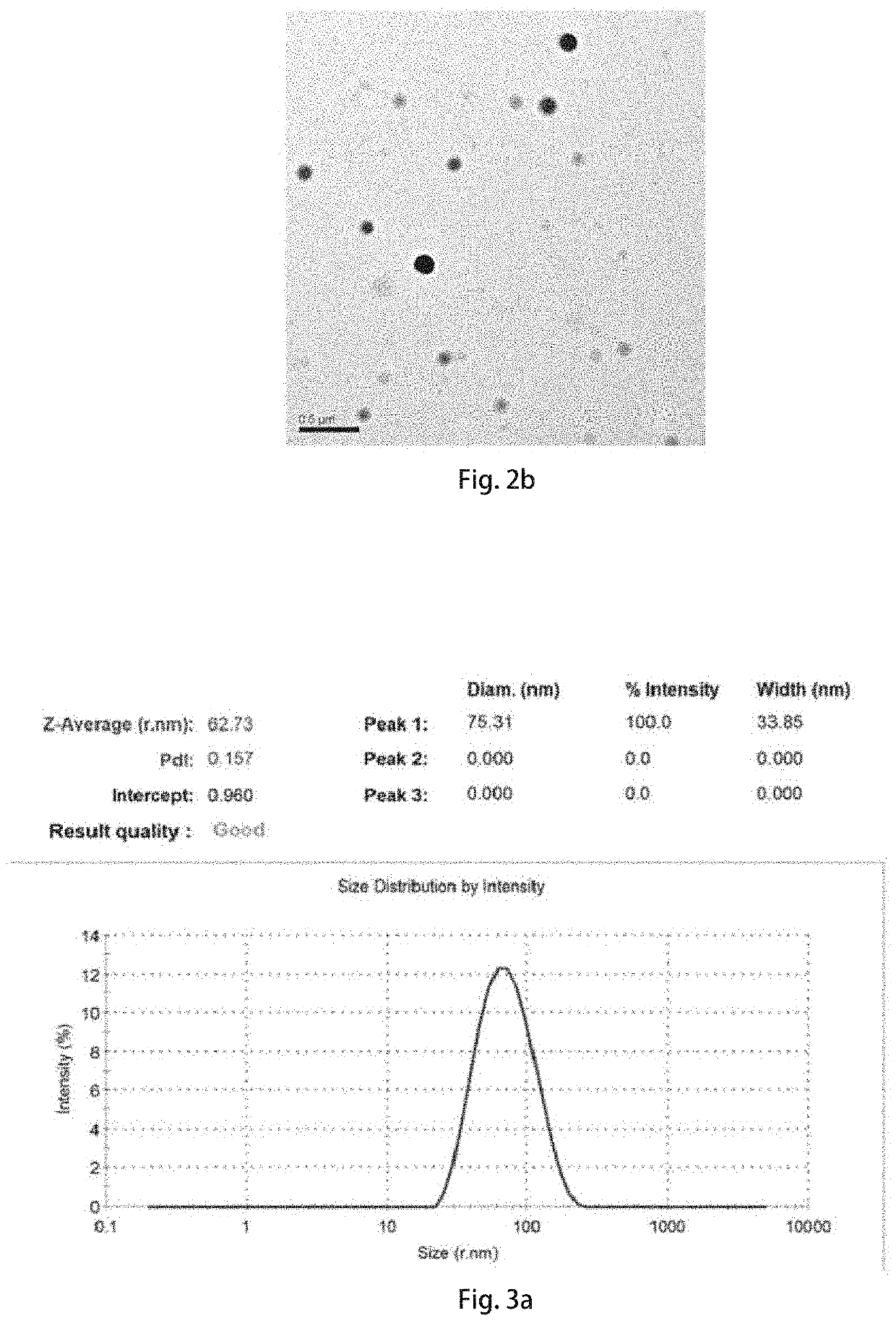Intranasal NANO inducer for preventing and treating neurodegenerative diseases and method thereof