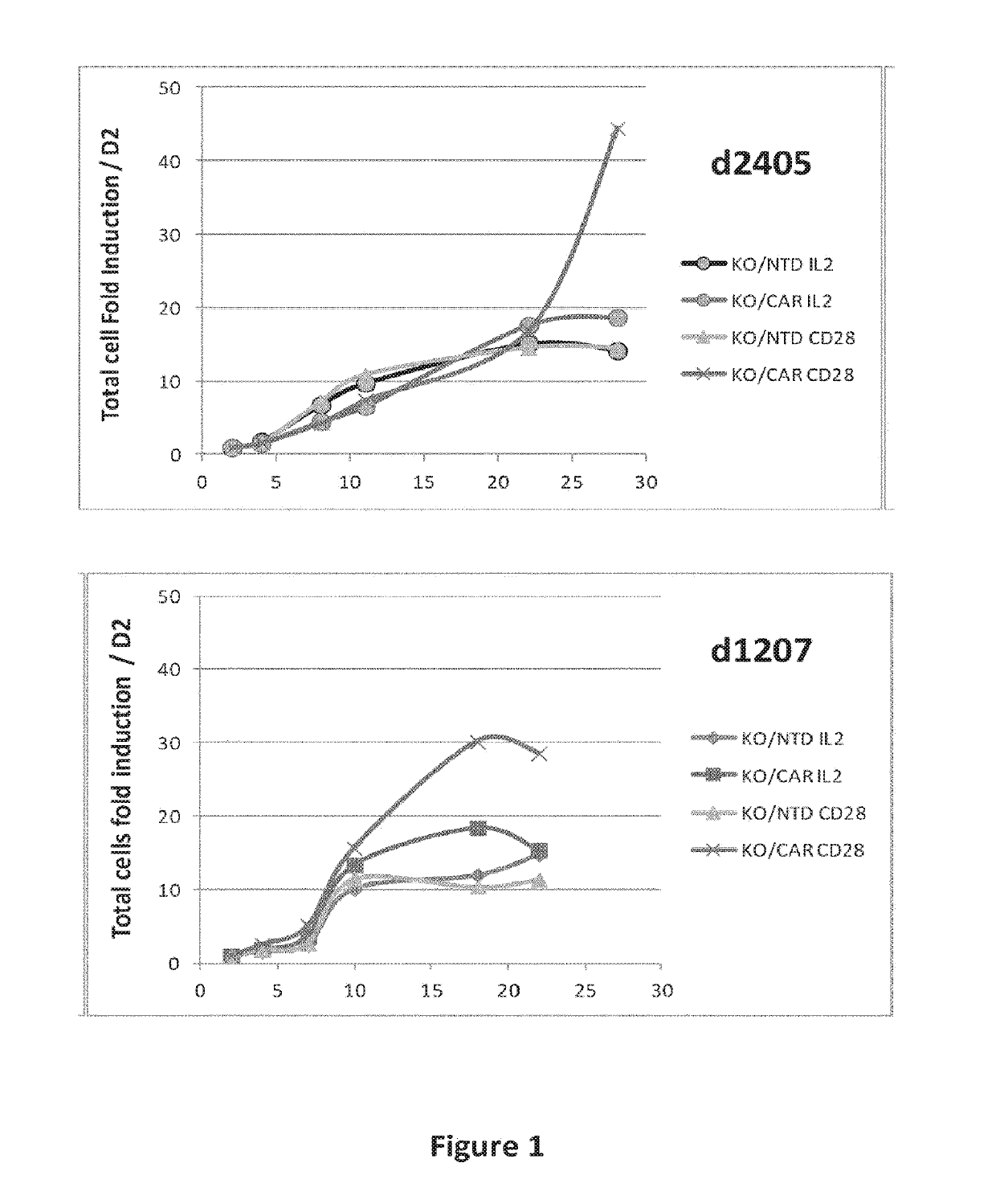 Cd19 specific chimeric antigen receptor and uses thereof