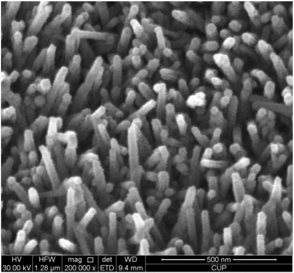 Al2O3 modified array TiO2 nanowire and method for photoelectrocatalysis water decomposition hydrogen production