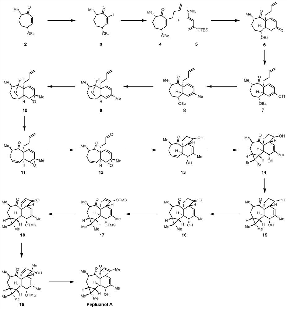 Synthesis method of Euphorbiaceae diterpene Peplanol A