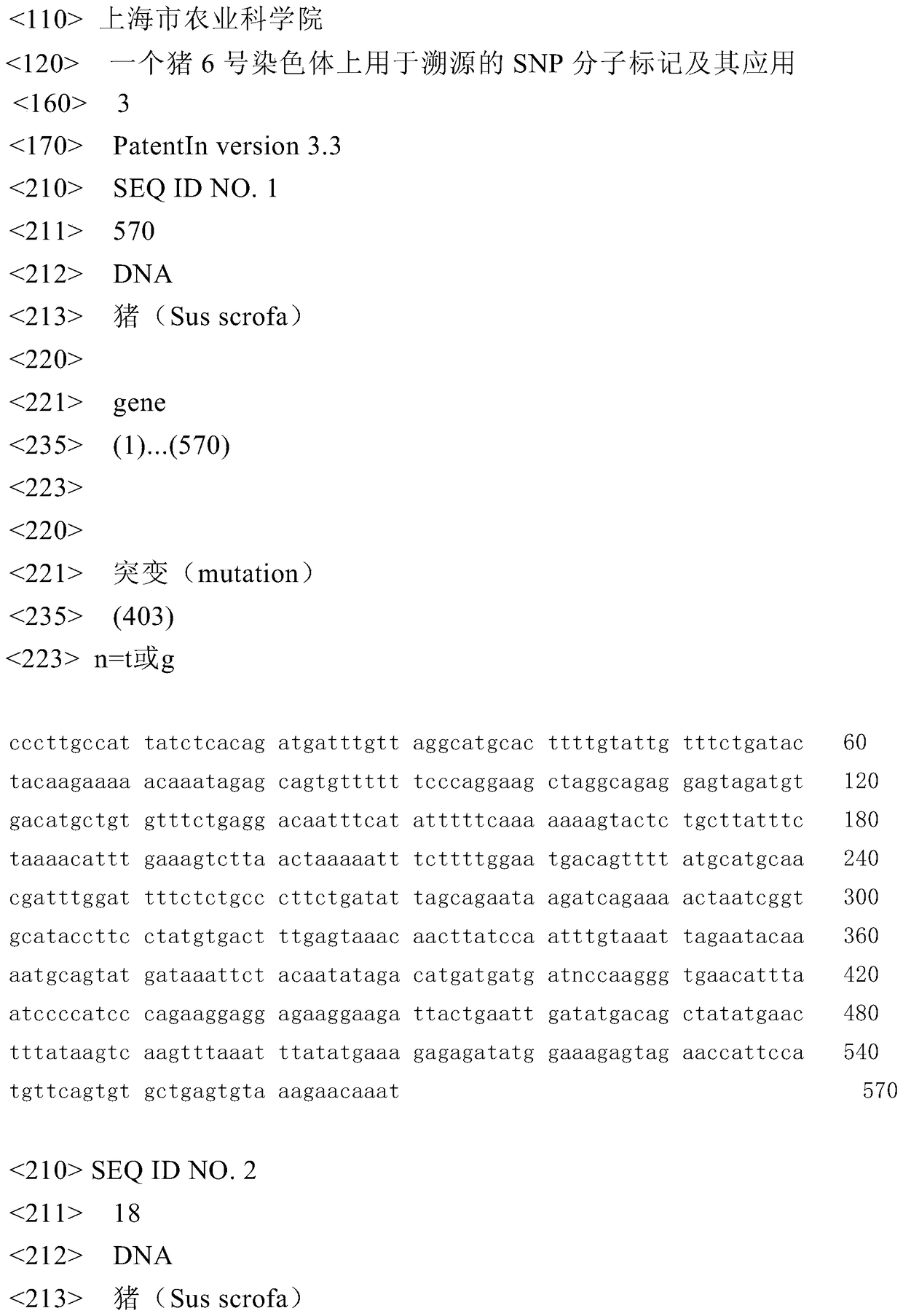 A SNP molecular marker for traceability on pig chromosome 6 and its application