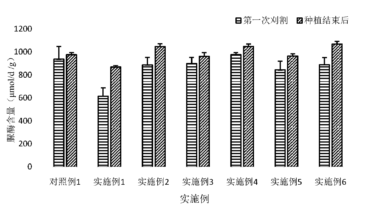 Cultivation management method for field loliummultiflorum capable of improving urease activity of soil