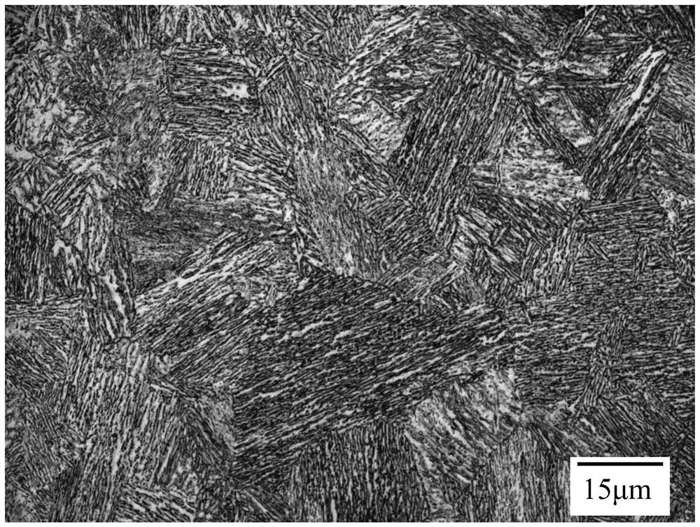 High-strength, high-plasticity, low-carbon and medium-manganese TRIP steel and preparation method thereof