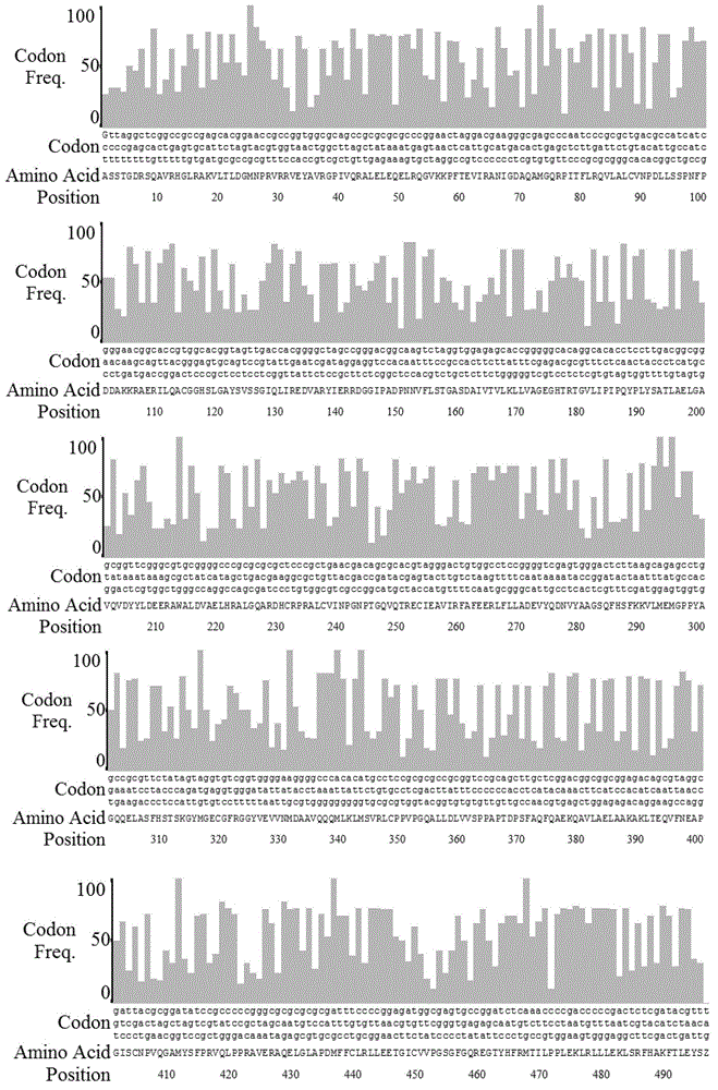 Recombinant human alanine aminotransferase protein standard, recombinant human aspartate aminotransferase protein standard, and preparation methods thereof