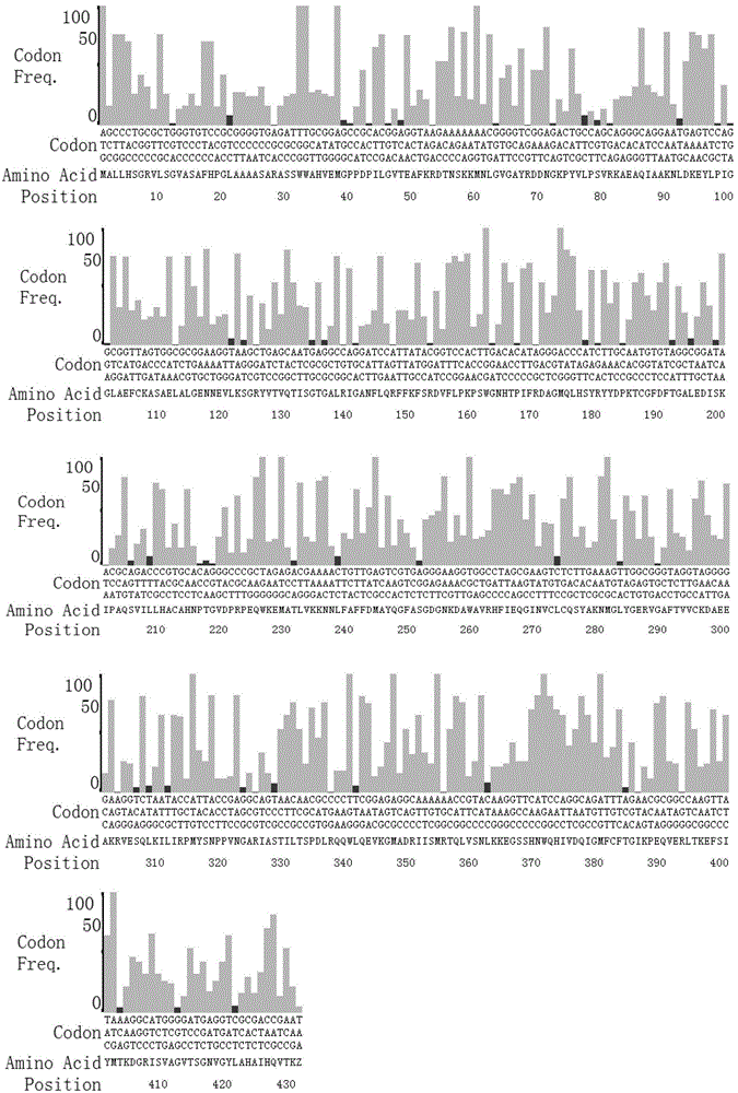 Recombinant human alanine aminotransferase protein standard, recombinant human aspartate aminotransferase protein standard, and preparation methods thereof