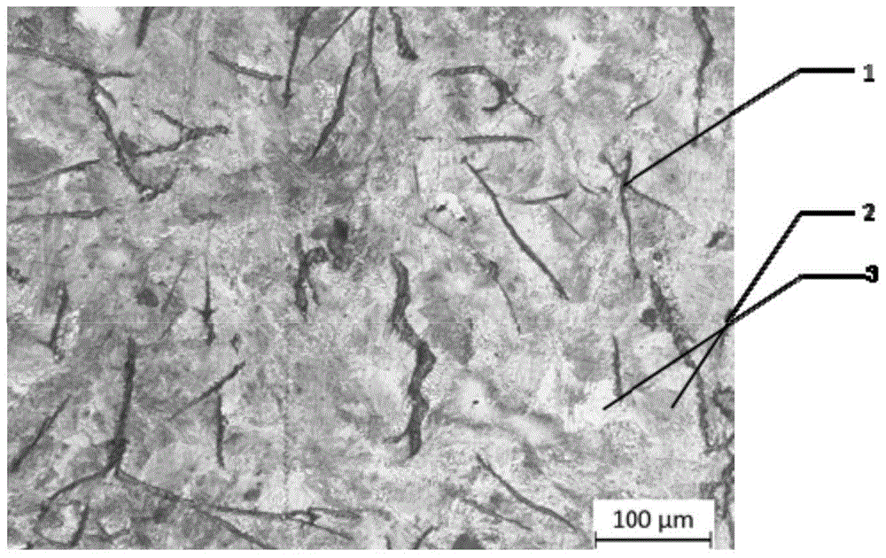 A kind of low-alloy gray cast iron material for truck brake drum and preparation method thereof