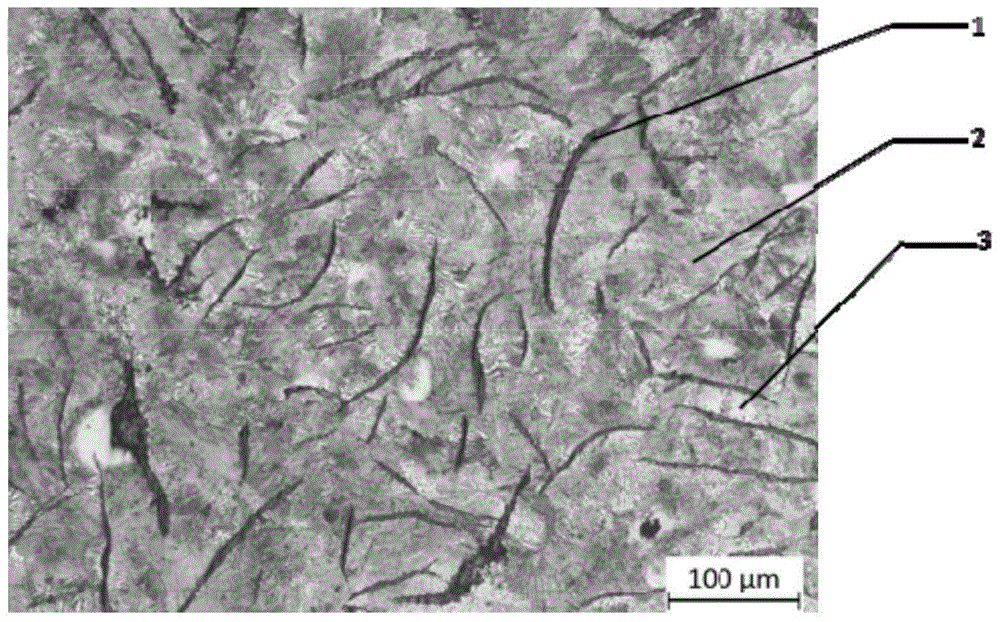 A kind of low-alloy gray cast iron material for truck brake drum and preparation method thereof