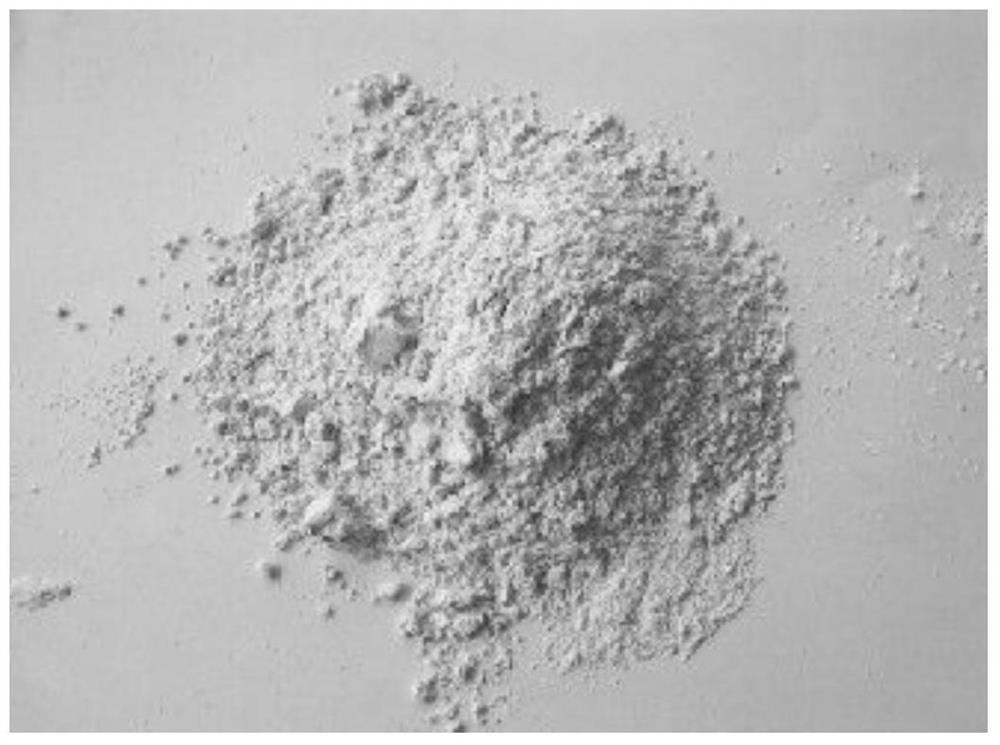 A transition state iron-based heavy metal immobilization reagent and preparation method thereof