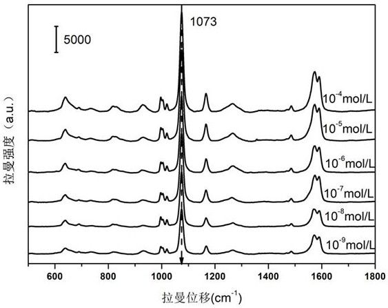 Preparation and application of a surface-enhanced Raman sensor for bimolecular recognition of dopamine