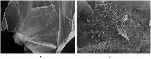 A kind of reduced graphene oxide-poly-p-phenylenediamine/tpu composite film