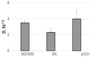 Application of OG1 gene in biological CO2 capturing