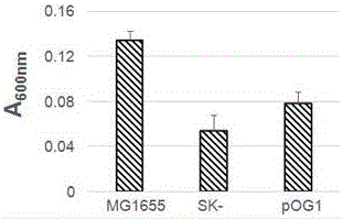 Application of OG1 gene in biological CO2 capturing