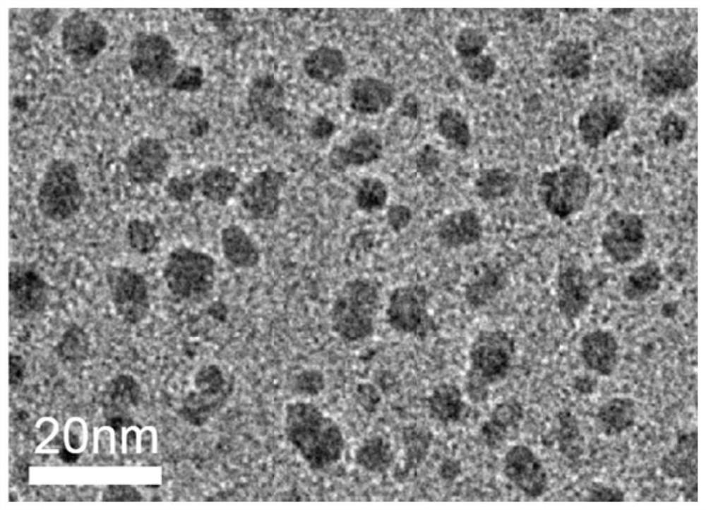 Application of nitrogen-doped graphdiyne quantum dots in chloramphenicol detection