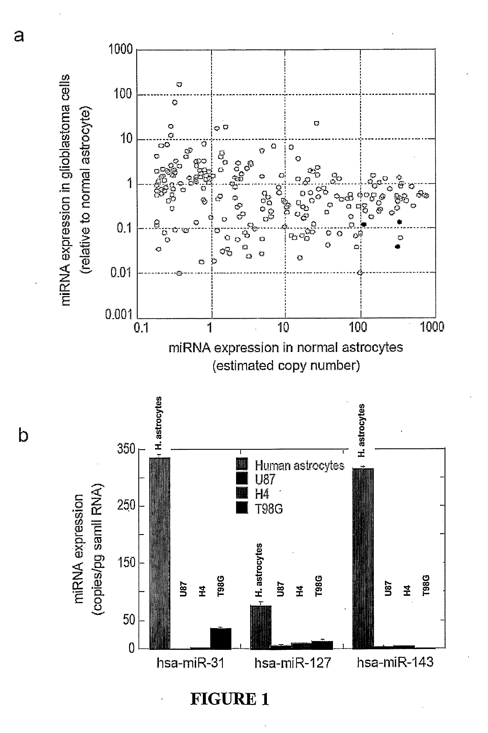 Nucleic acid molecule and method of targeting gene expression to gliomas