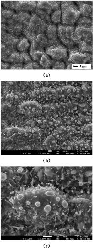 Method for preparing TiO2 multi-scale micro-nano composite structure on titanium substrate