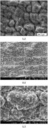 Method for preparing TiO2 multi-scale micro-nano composite structure on titanium substrate