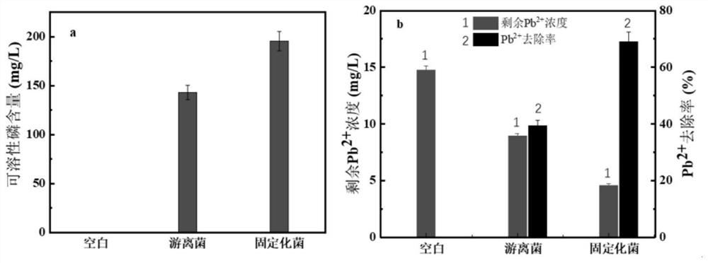 Biochar-supported nano-zero-valent iron-coupled phosphate-solubilizing bacteria immobilized pellets and its preparation method and application