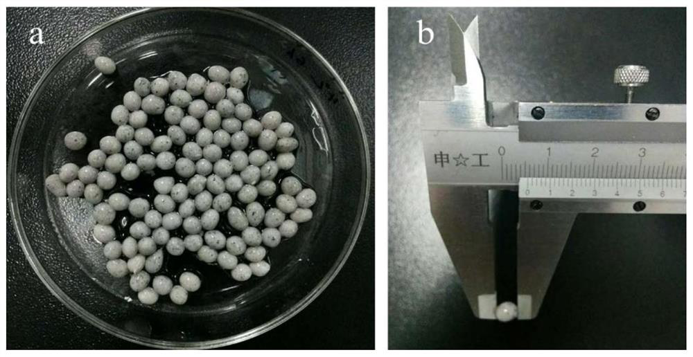 Biochar-supported nano-zero-valent iron-coupled phosphate-solubilizing bacteria immobilized pellets and its preparation method and application