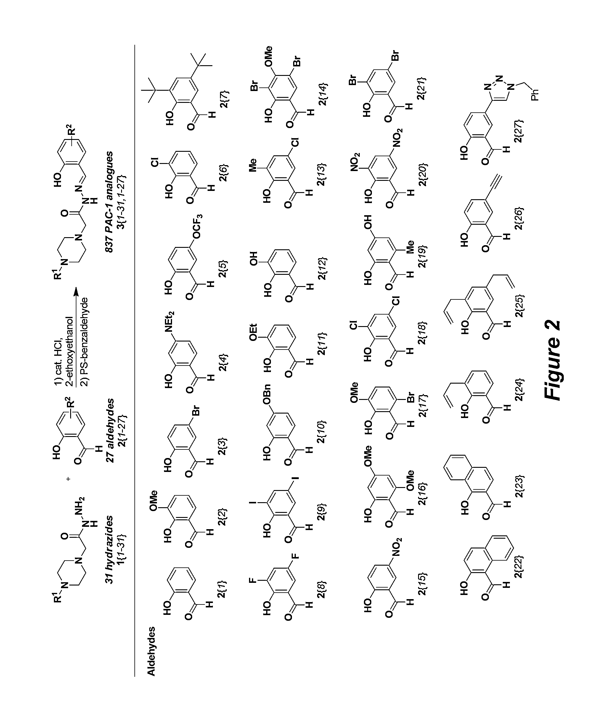 Procaspase-activating compounds and methods