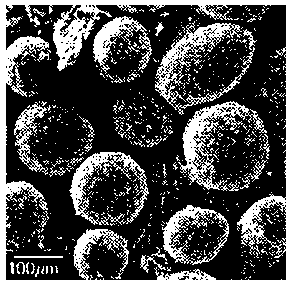 Preparation method for magnetic polymer composite microsphere