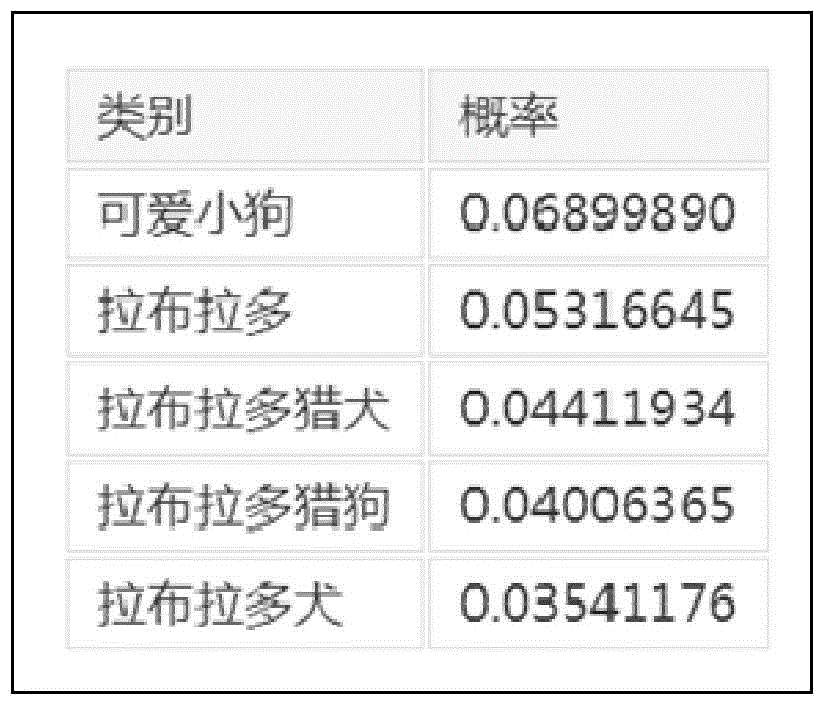 Image search method and device