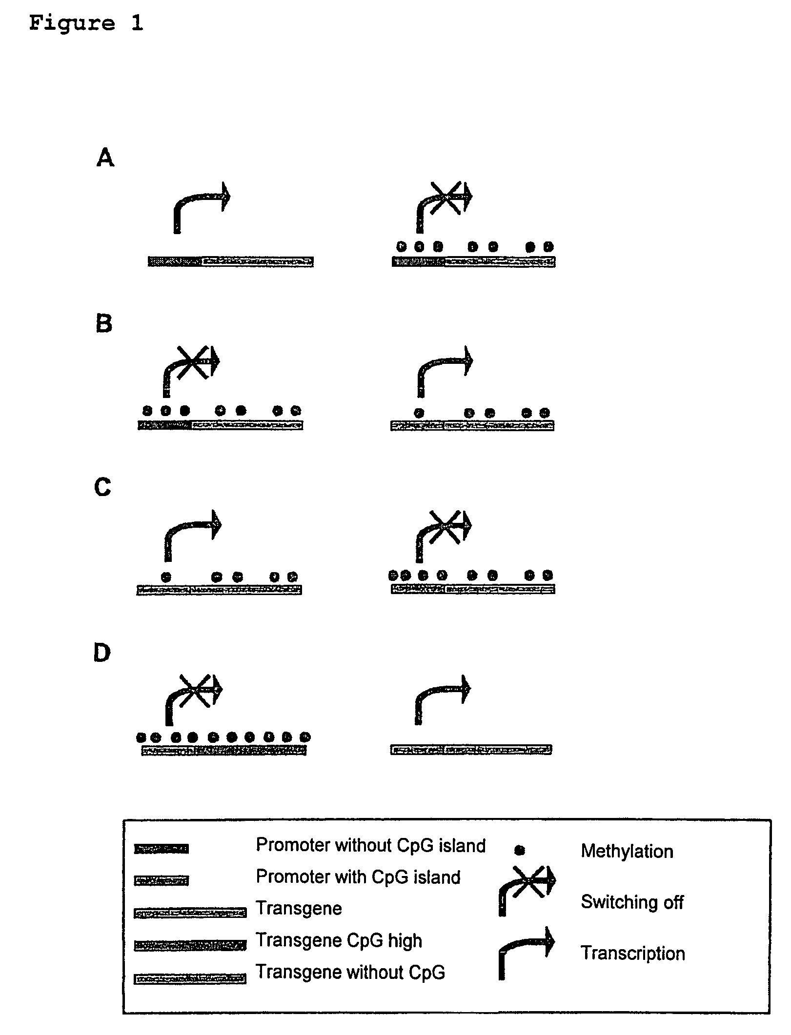 Method for modulating gene expression by modifying the CpG content