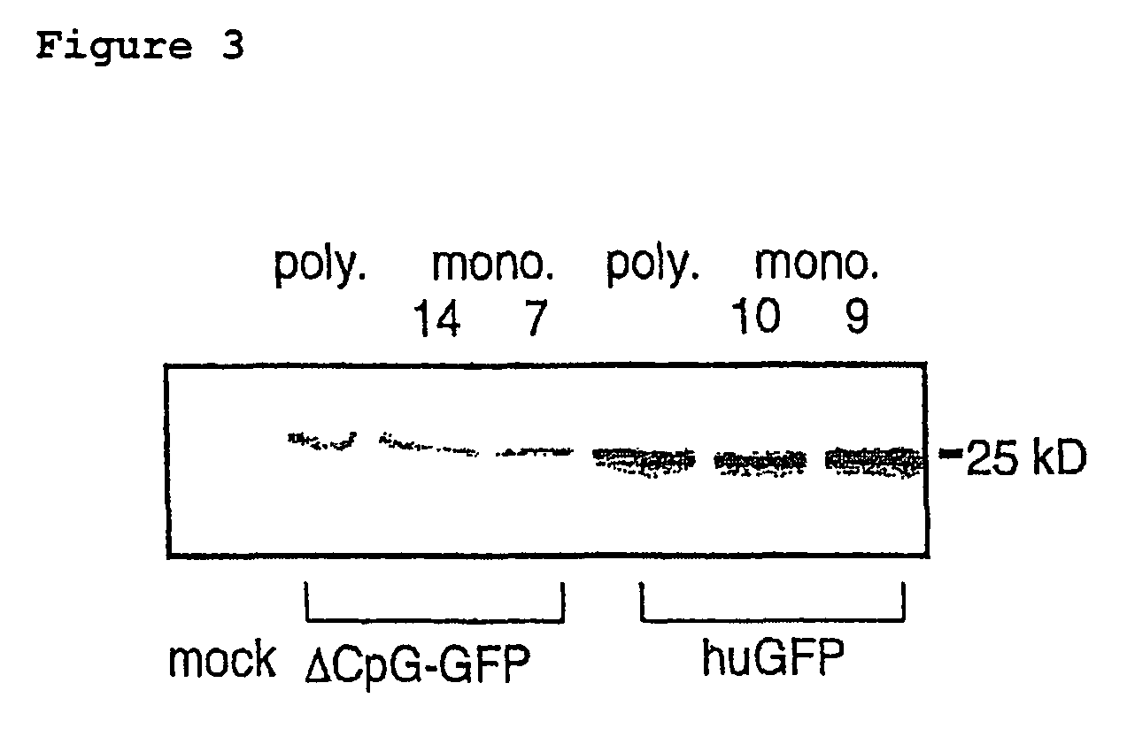 Method for modulating gene expression by modifying the CpG content