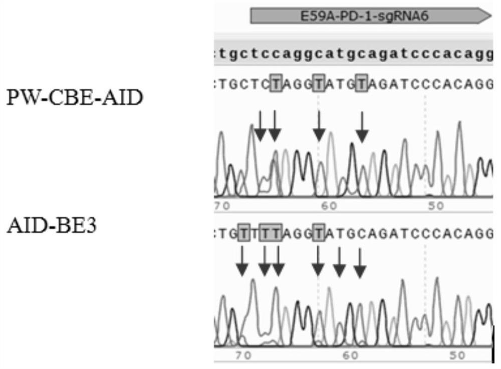 A composition, method and application for nucleotide sequence modification