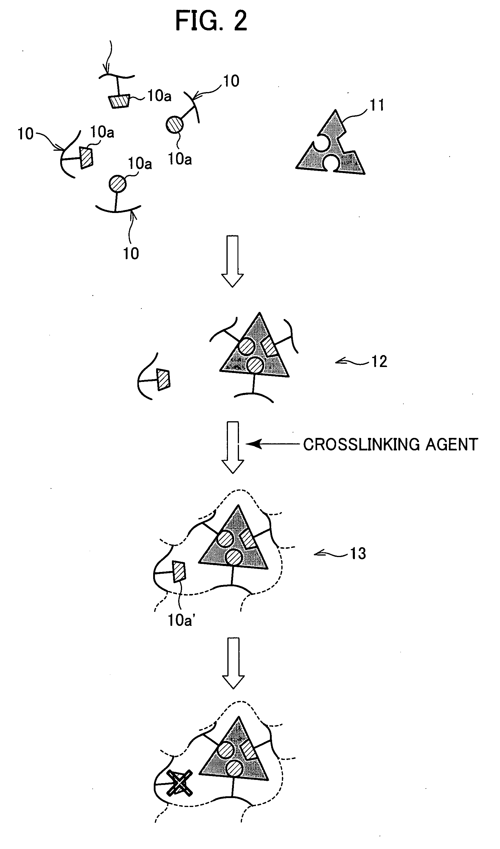 Target molecule recognition polymer and method for producing the same