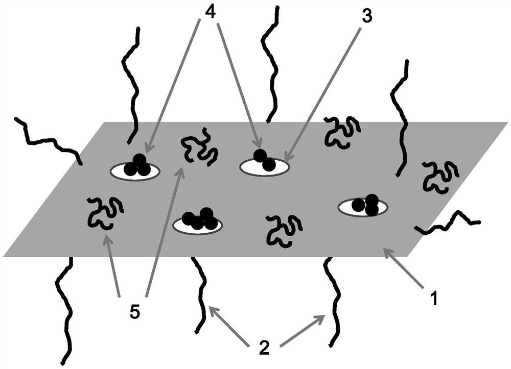 A kind of long-acting antistatic composite nylon fabric and preparation method thereof