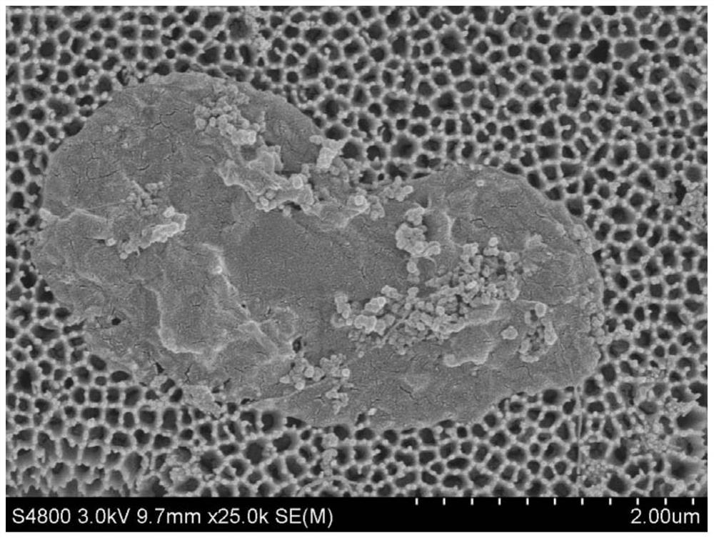 A kind of long-acting antistatic composite nylon fabric and preparation method thereof