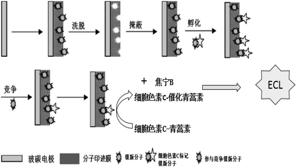 Preparation method of artemisinin molecular imprinting photoelectrochemical sensor
