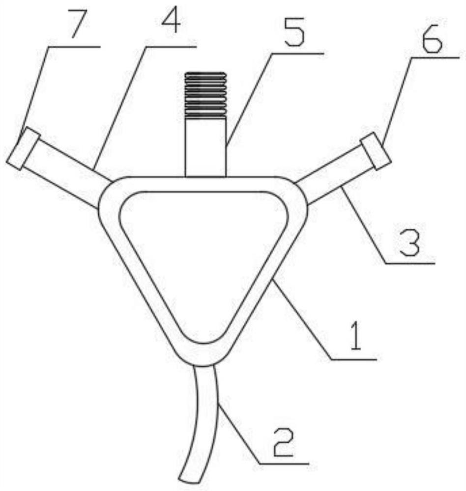 A collection and transfer device suitable for the determination of physiological enzymes of the southern flower stinkbug and its use method