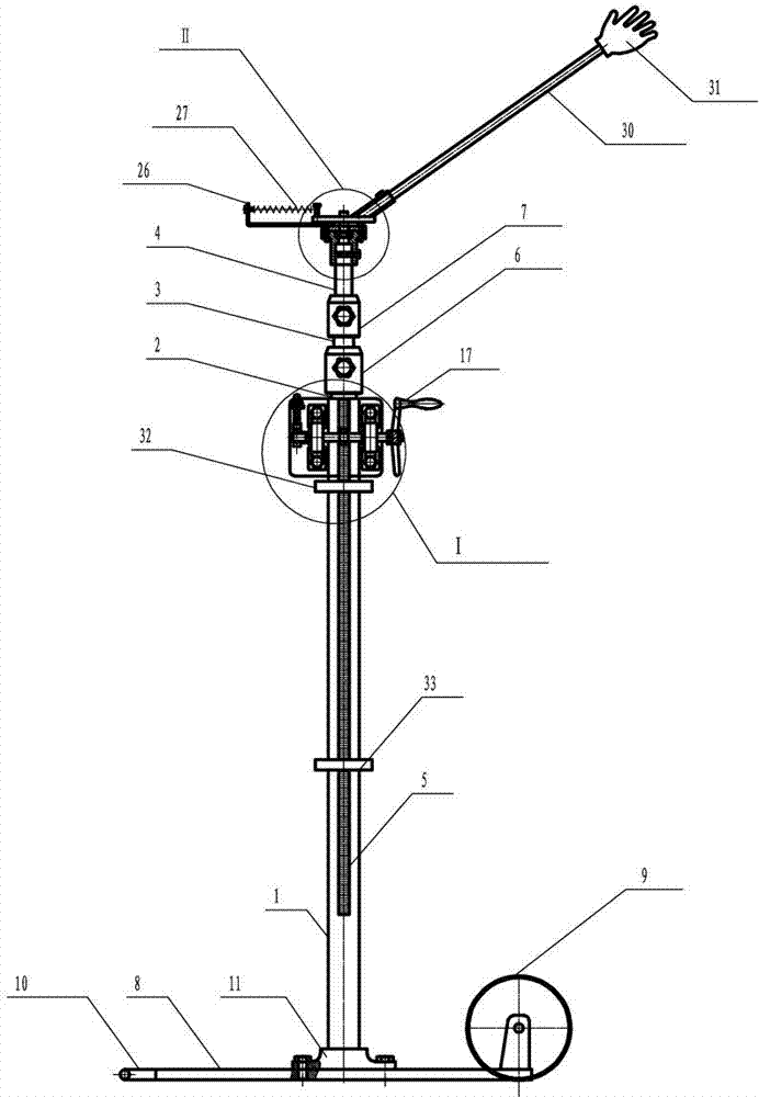 Rugby throwing collimator