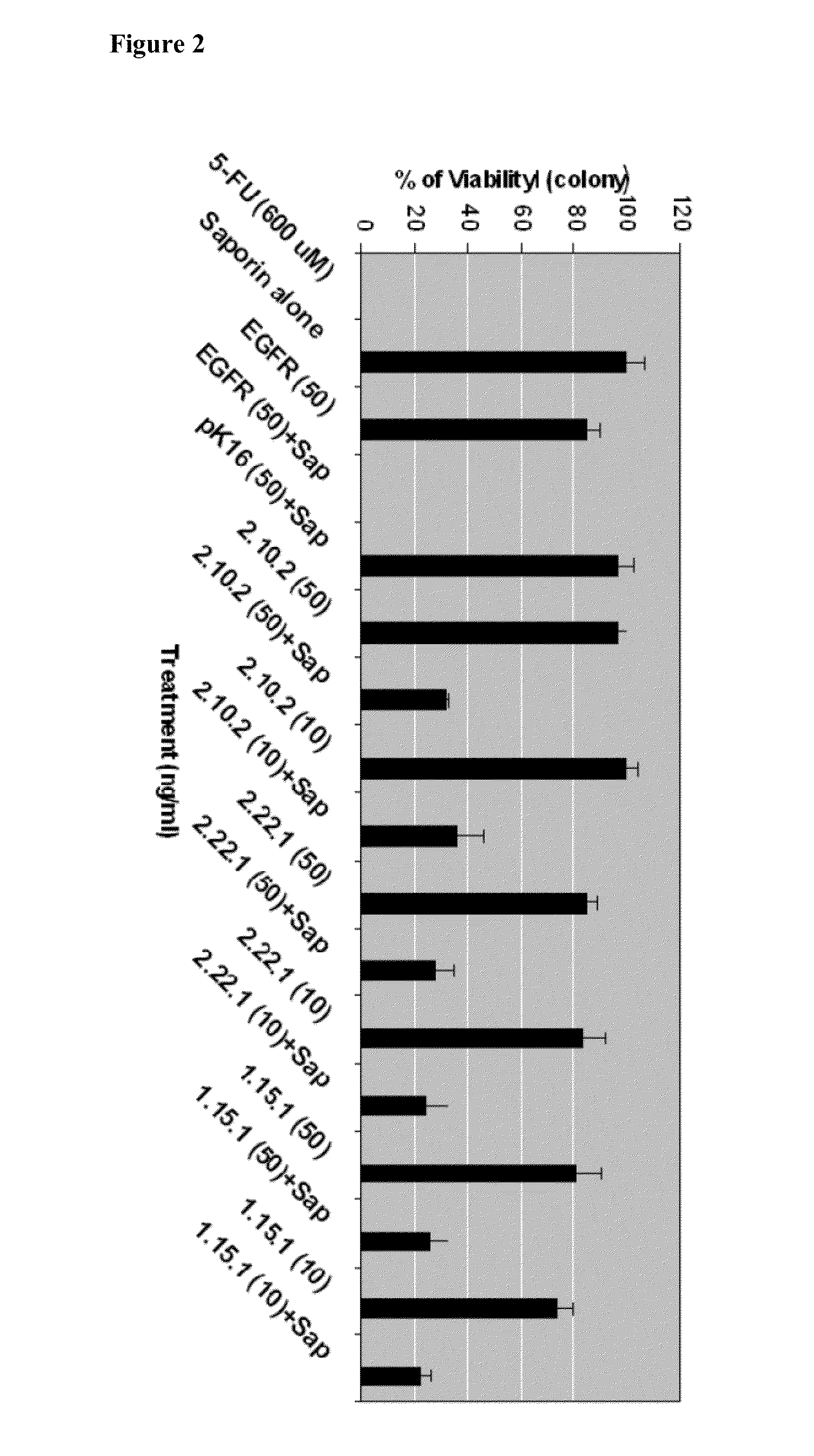 Antibodies directed to gpnmb and uses thereof