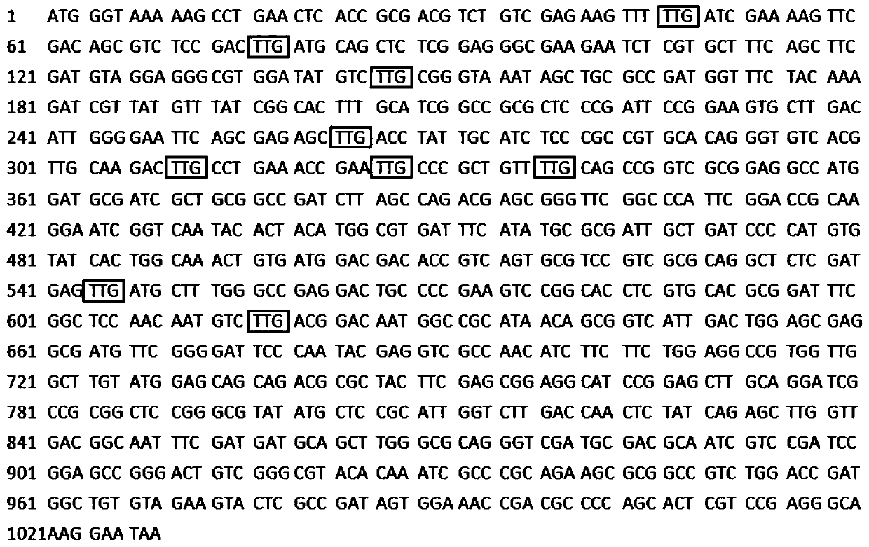 Expression system of a xylose-utilizing yeast candida jeffriesii