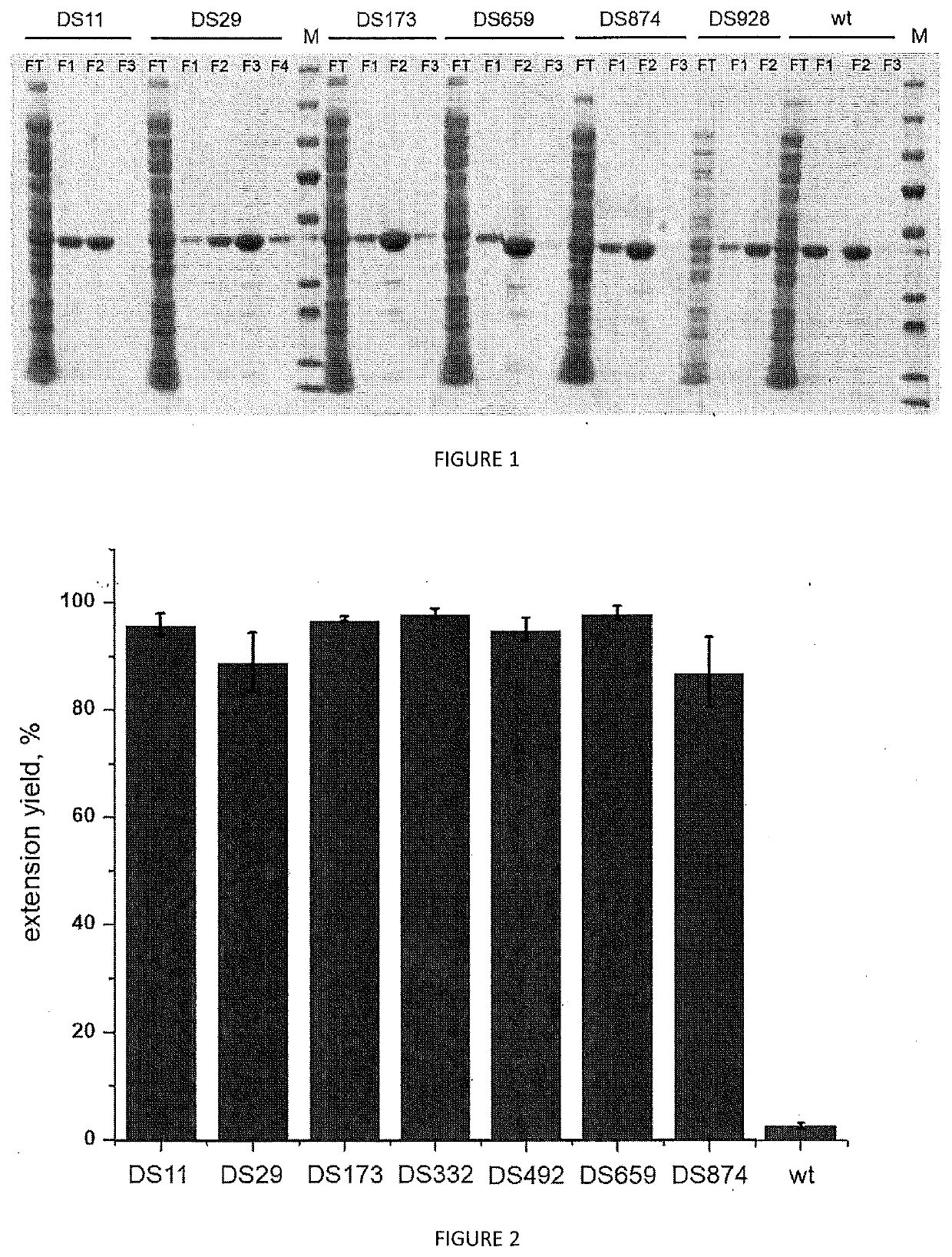 Variants of Terminal Deoxynucleotidyl Transferase and Uses Thereof