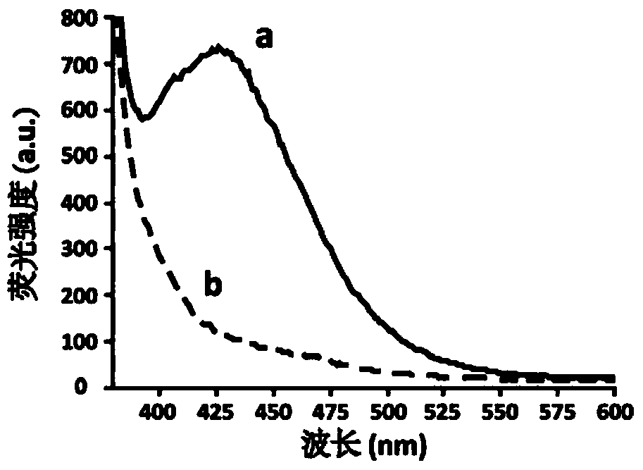 Aptamer AFB1-01 of aflatoxin B1 and application of aptamer AFB1-01