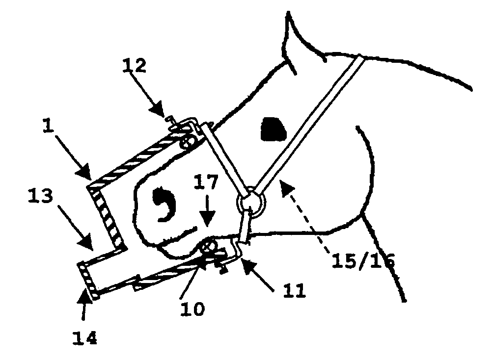 Equine inhalation mask