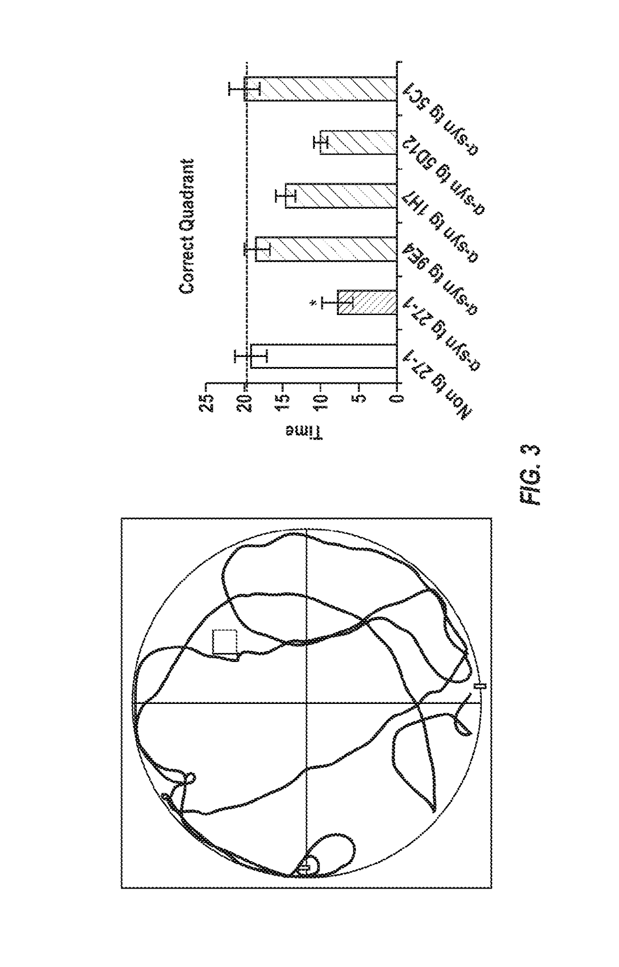 Blood-Brain Barrier Shuttles Containing Antibodies Recognizing Alpha-Synuclein