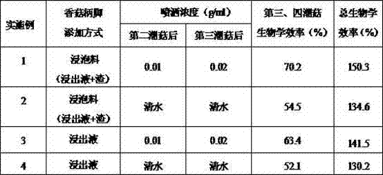 Abalone mushroom cultivation method