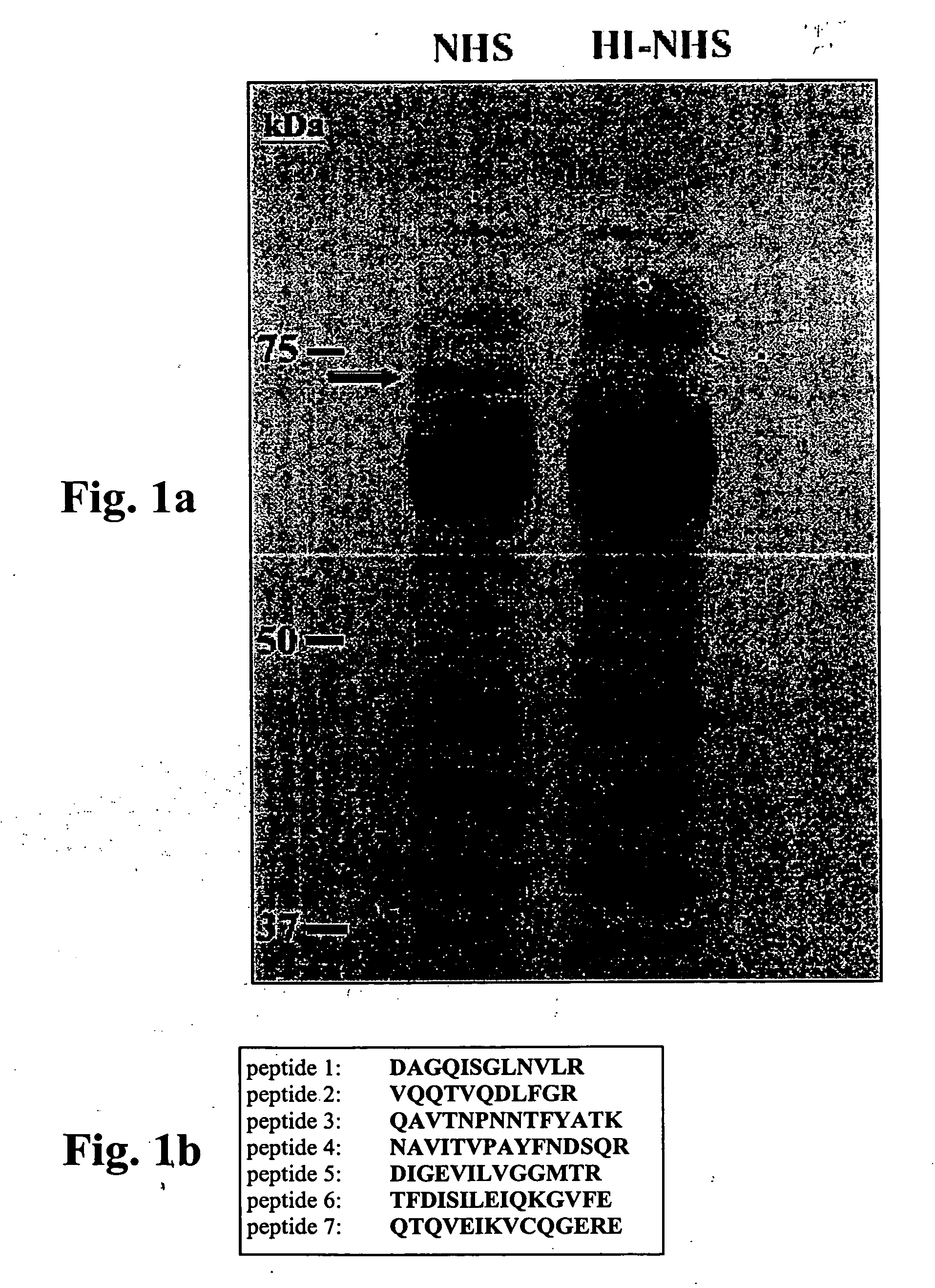 Article of manufacture and method for disease treatment