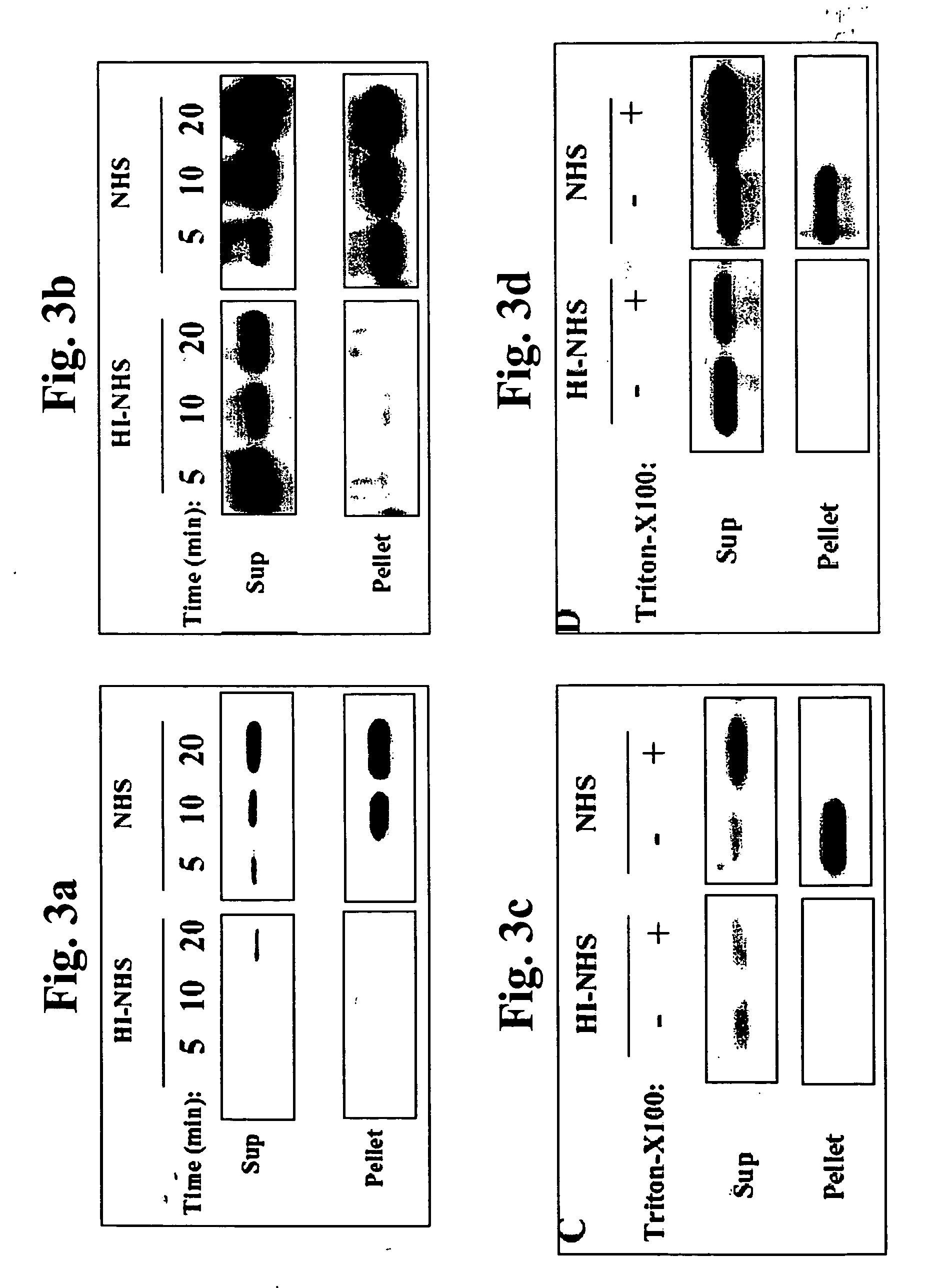 Article of manufacture and method for disease treatment