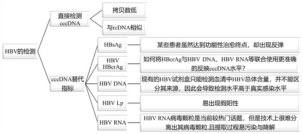 Immunocapture molecule detection method for complete HBV particles