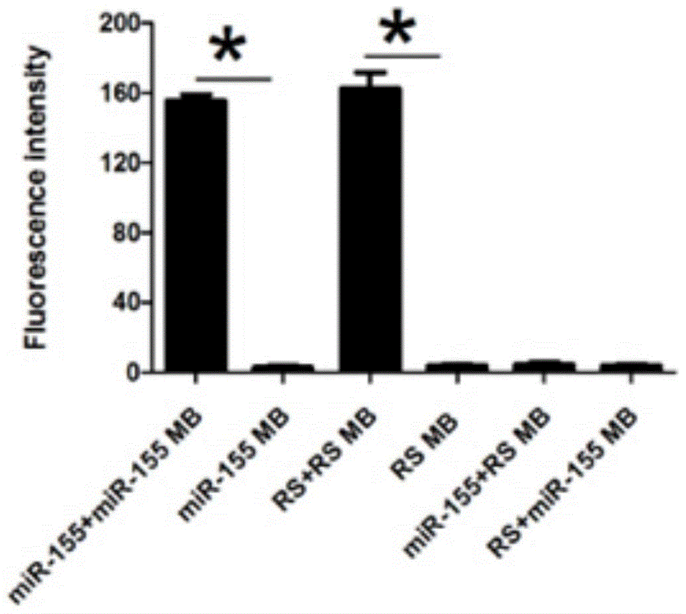 Preparation method of targeting octreotide-modified chitosan molecular beacon nanocomposite for lung cancer diagnosis