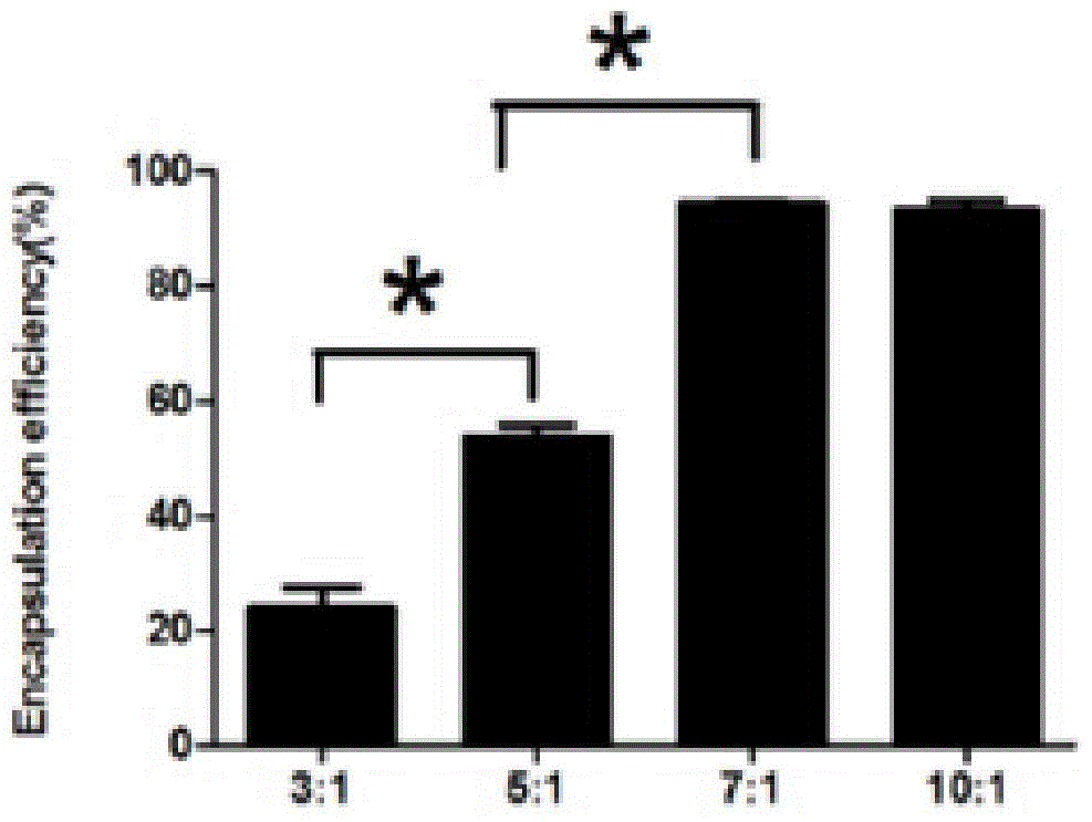 Preparation method of targeting octreotide-modified chitosan molecular beacon nanocomposite for lung cancer diagnosis