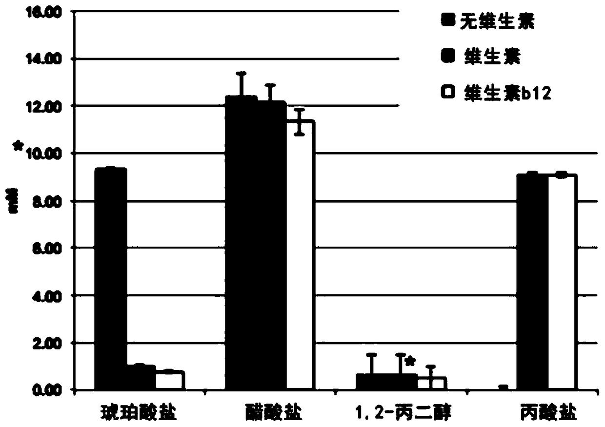 Compositions and methods for preventing and/or treating vitamin b12 deficiency