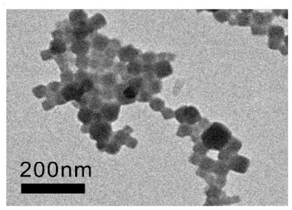 A preparation method of Prussian blue nanoparticles loaded with polypeptide