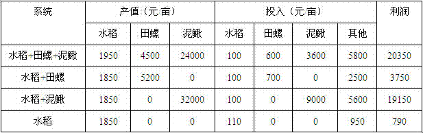 Three-dimensional comprehensive planting and breeding method for rice field