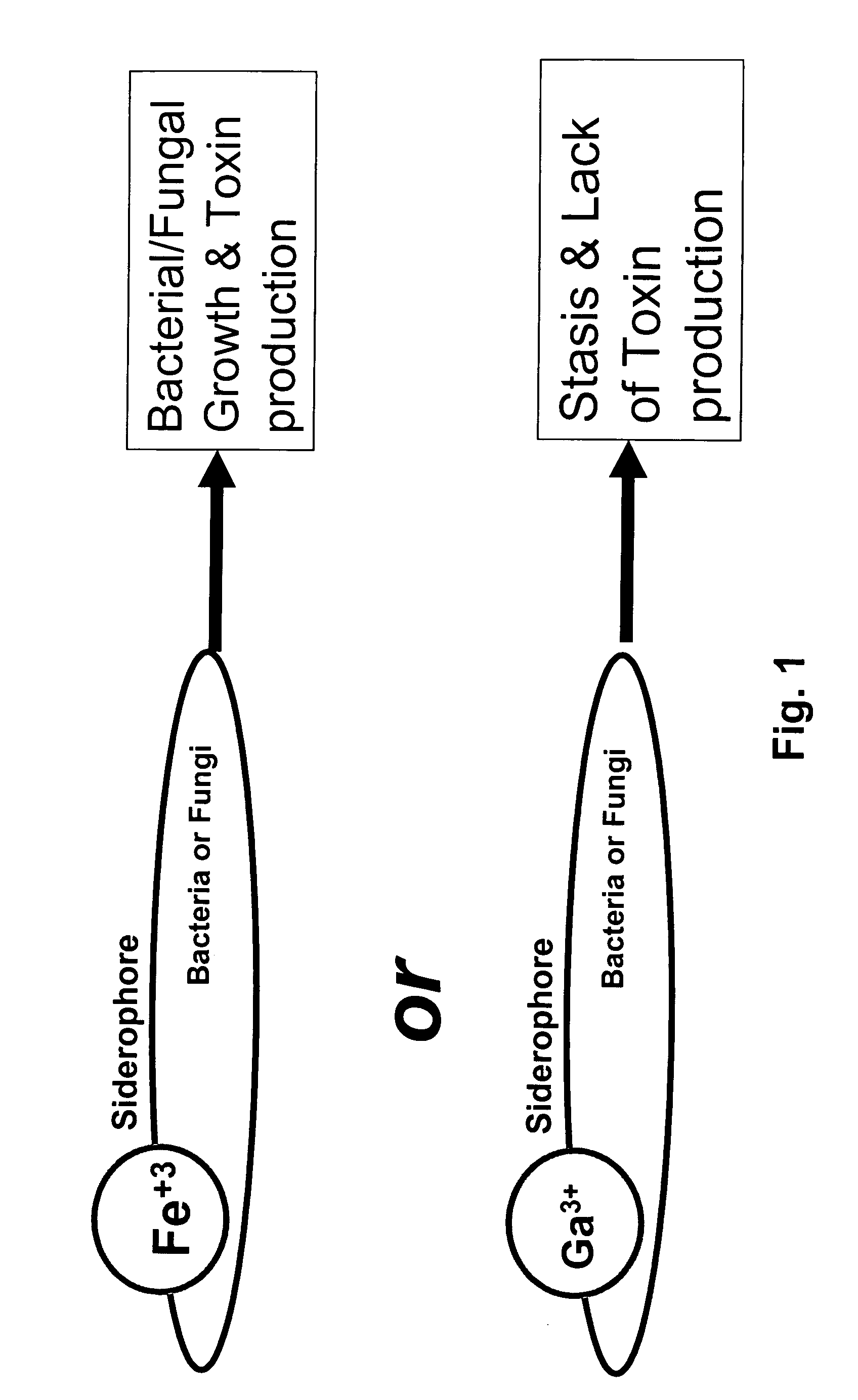 Growth control of oral and superficial microorganisms using gallium compounds